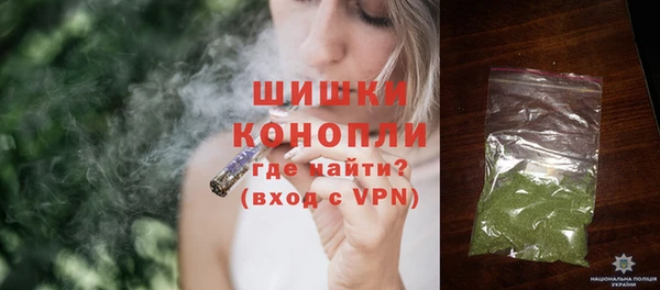 сатива Вяземский