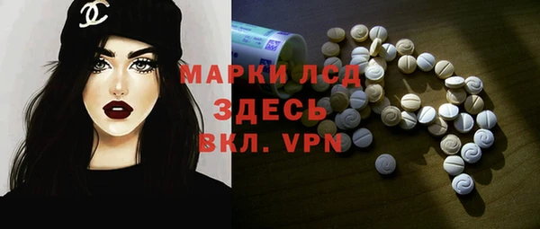 сатива Вяземский