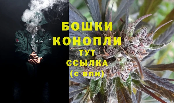 сатива Вяземский
