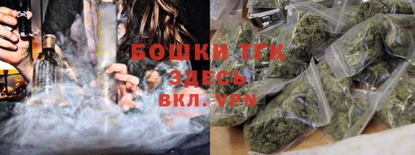 сатива Вяземский